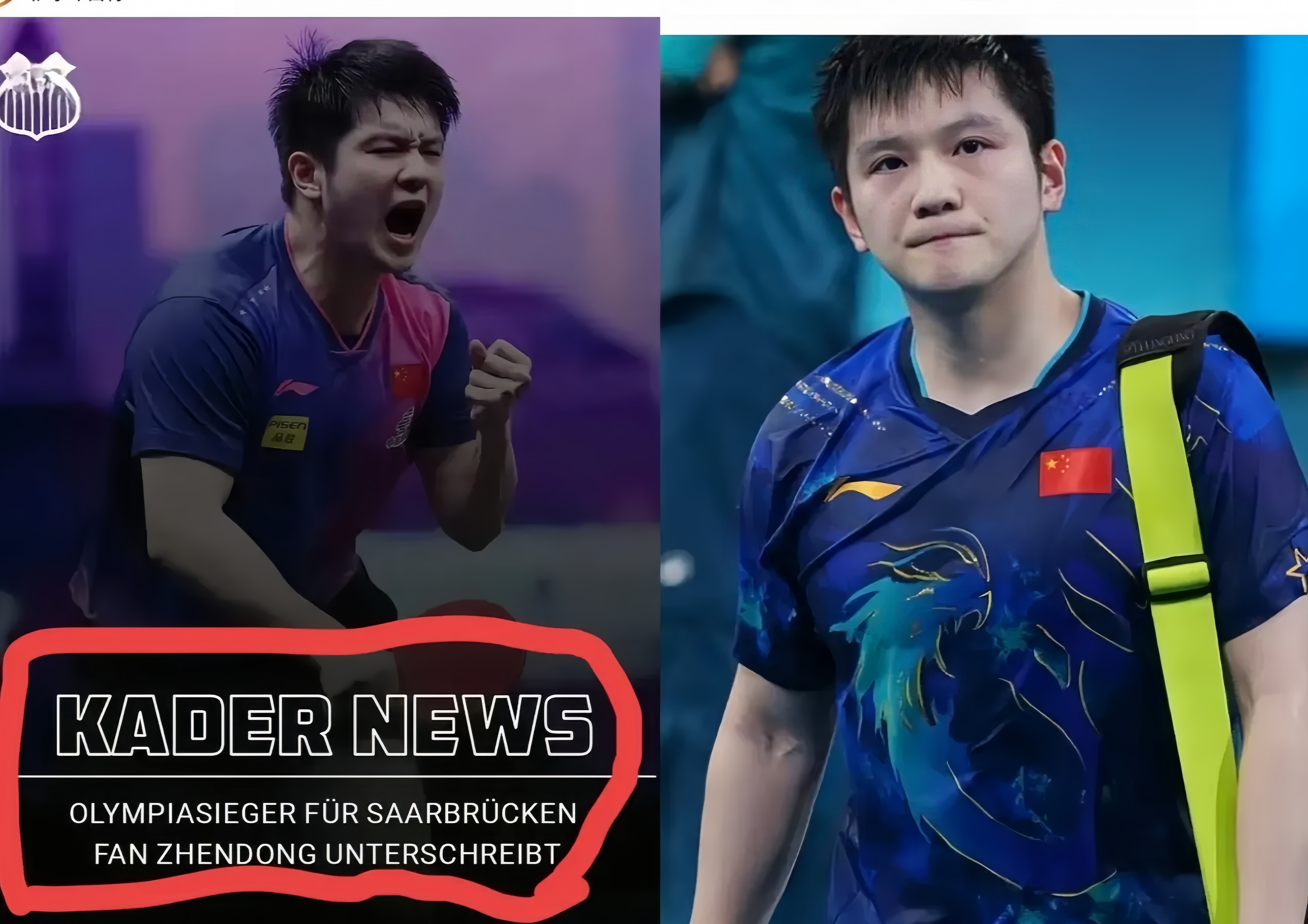 葡萄牙队力克德国队，樊振东状态火热