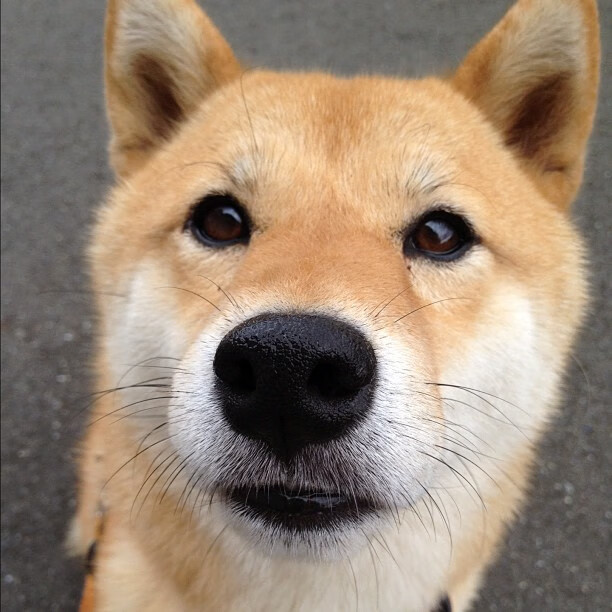 英超争冠焦点战与吉林队连续得分压制广东队，竞技体育的不可预测之美