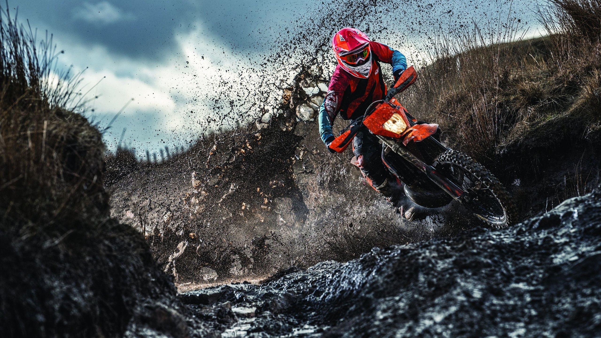 跨界征服，从绿茵场到F1赛道，三笘薰的硬仗基因如何点燃新赛季